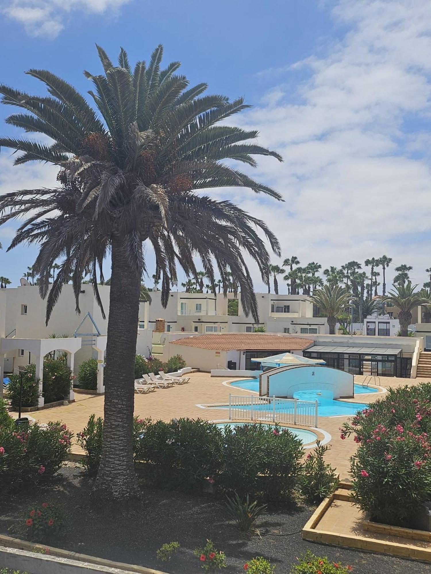 דירות קורלחו New Alisios Playa מראה חיצוני תמונה